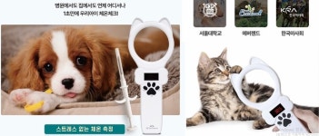 우리 댕냥이 오늘은 몇도냥