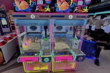 “인형 대신 햄스터를?”… 뽑기 기계에 살아있는 동물 넣은 中 게임장