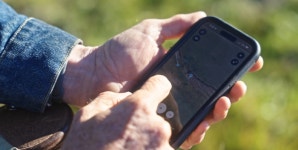 스마트폰으로 소 수천마리 관리…전기 울타리 없는 디지털 목장 등장