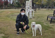 [마이펫페어] 올미오펫, 반려견 안전 놀이터 동굴 계단 소개