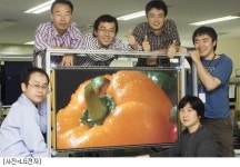 LG전자, 풀HD급 50인치 PDP 패널 개발