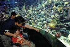 SK C&C, 뇌병변 장애아동과 봄나들이 행사