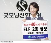굿모닝신한證, 연최대 40.0% 수익추구형 ELF 2종 공모