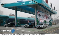 말 많은 알뜰주유소 연내 출범…잘 될까?