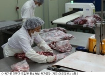 대우정보, 수·축산물 정보화 사업서 두각