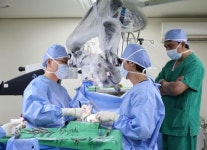 인도네시아 의료진, 튼튼병원 의료 서비스 견학