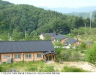 횡성産 자연산야초 청국장 아토피 극복하다