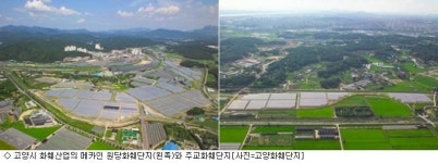 글로벌 꽃의 도시 고양, 화훼산업을 주목하라
