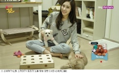 신세계TV쇼핑, 연동형 T-커머스 시범 서비스 시작