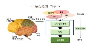 AI시대, 미래부 뇌과학 발전전략 시동