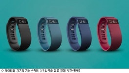 웨어러블 기기, 기능제약으로 성장발목 잡혀