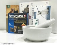 반려동물 보호자 30% 비용부담으로 예방접종 중단 경험