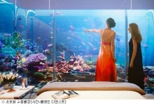 [핫클립]무더위 가라! 초호화 수중 별장