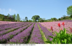 [주말N]지중해 풍경 속 힐링 스테이 허브빌리지