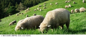 [주말N]황금연휴 시작 강원도에서 가족과 힐링