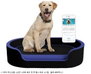 반려동물 위한 제품이 눈에 띄는 CES 2018