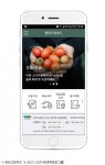 현대그린푸드, 모바일 식자재 주문·결제 서비스 도입