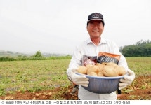 [유통街상생] 農心 담은 수미칩, 감자농가 소득향상 앞장