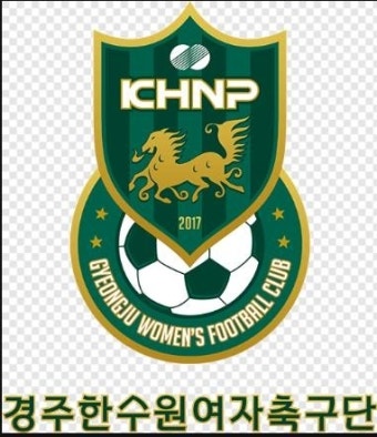 여자 실업축구팀 감독, 선수 성추행으로 해임
