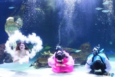 [아이HD]아쿠아리스트, 한복입고 설 명절 인사