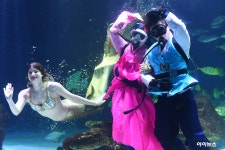 [아이HD]아쿠아리스트, 한복입고 설 명절 인사