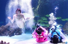 [아이HD]아쿠아리스트, 한복입고 설 명절 인사