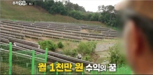 태양광 발전소는 연금 발전소다?…추적60분 태양광 발전 사업의 실태 추적