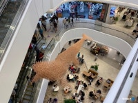 [르포] 태풍도 못 막은 인기…스타필드시티 부천 다녀오니