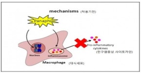 코미팜, 코로나19 폐렴치료제 긴급임상 나선다(종합)