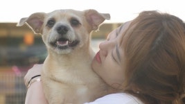 TV 동물농장 하은이·낑꽁이 2년만의 재회…천재앵무새 쾌돌이의 비밀