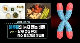 장수 유전자를 깨워라…생로병사의 비밀 블루존의 늙지 않는 비밀