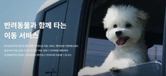 카카오모빌리티, 반려동물 택시 펫미업 인수