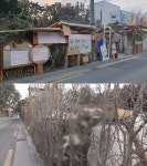 궁금한 이야기Y, 닭 사체+붉은 글씨…익산의 폐가를 지키는 노인