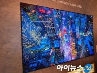 [현장] 두 번 접고 소리 내고…삼성·LGD디스플레이가 뽐낸 기술