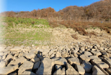 홍수에 강하고 풀도 자라는 친환경 제방 공법 개발