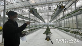 [기획] 미래농업을 여는 천안 스마트팜 테스트베드에 가다