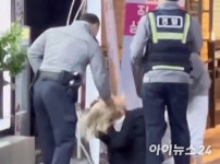 여성 머리채 잡고 흔든 경찰…또 부적절 대응 논란