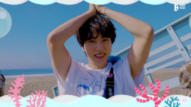 일본 발끈하게 한 BTS 진 슈퍼참치…도대체 뭐길래?