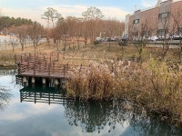 천연기념물 수달 보러 경산생활체육공원으로 오세요