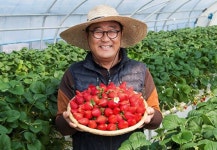 전남 담양군, 광주 신세계 딸기 판매전 17일 개최