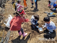 제주도, 올해 100만그루 나무심기