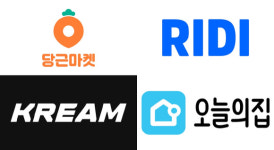당근마켓·오늘의집 작년 영업손실 지속…시장 가치 반전 [IT돋보기]