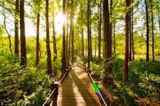 경기도립 물향기수목원, 여름방학 맞이 숲 체험 가족 프로그램 운영