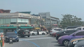 돌아온 보령 머드 축제 개막 D-10