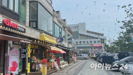 돌아온 보령 머드 축제 개막 D-10