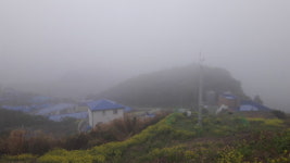 [추억의항구] ㊴신안 흑산면 만재항