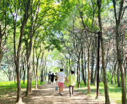 시흥시, 늠내길 트레킹코스 조성