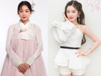 국감서 레드벨벳 아이린 닮아 아이돌 소환…무슨 일?