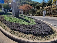 청도군 각북면, 헐티재 정상 꽃밭조성