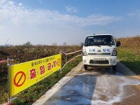 안성천 야생조류서 고병원성 AI 검출